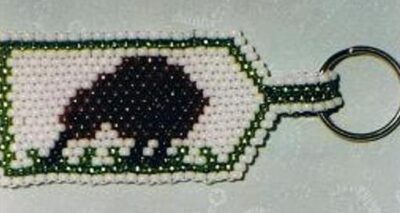 0086 Kiwi