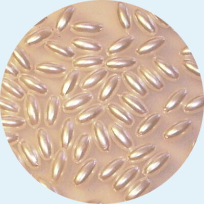 Acrylic Rice Pearl 6x3mm Cream 5grams